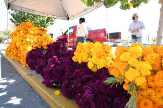 Productores laguneros se instalaron en un crucero de la ciudad para ofrecer manojos de flor de cempasúchil y mano de león.