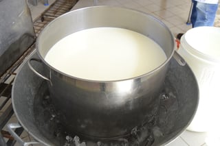 Entre enero y septiembre del año en curso, la producción de leche en Durango fue de 966 millones 40 mil litros, según reporta la Sader. (EL SIGLO DE TORREÓN) 