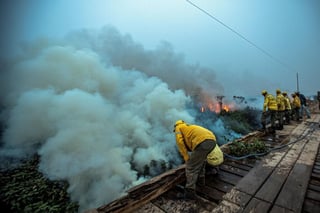 Los incendios de la Amazonía brasileña se dispararon un 120 % en octubre respecto al mismo mes del año pasado y crecieron un 17 % en el Pantanal, el mayor humedal del planeta, en el mismo comparativo, según cifras divulgadas este domingo por el Gobierno. (EFE)