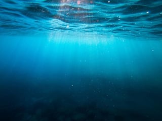 La contaminación tóxica por mercurio ha llegado a los lugares más inaccesibles de los océanos, incluida la Fosa de las Marianas, de más de 10 kilómetros de profundidad, en el Pacífico, según un estudio científico. (ESPECIAL) 