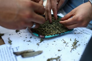'Queda permitido a personas mayores de 18 años consumir cannabis psicoactivo', señala el documento final tras la sesión que se extendió por más de seis horas. (EL UNIVERSAL)