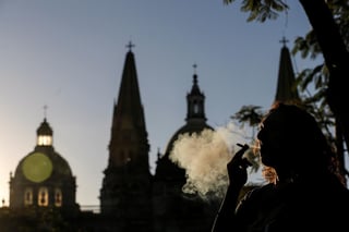  La Iglesia Católica mexicana calificó este domingo de 'preocupante' la decisión del Senado mexicano esta semana de aprobar la despenalización de la marihuana y dijo que 'es la puerta de entrada para drogas más peligrosas y adictivas'. (ARCHIVO)