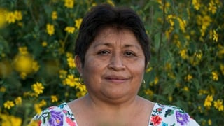  La líder maya Leydy Pech fue galardonada este lunes con el Premio Goldman, considerado el 'Nobel de Medioambiente', por su lucha en el sureste mexicano contra la soya transgénica de la multinacional Monsanto. (Especial) 