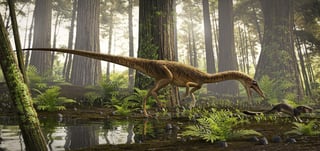 'Erythrovenator jacuiensis', así han bautizado a la nueva especie descubierta en el sur de Brasil de uno de los más antiguos antepasados del Tyrannosaurus Rex que vivió hace unos 230 millones de años durante la ascensión de la era de los dinosaurios. (ARCHIVO) 