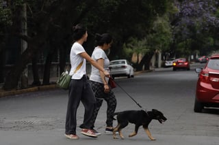 La Secretaria de Agricultura y Desarrollo Rural (Sader) confirmó que en México hay cuatro mascotas detectadas con COVID-19, mismos que tuvieron contacto directo con alguna persona diagnosticada con esta enfermedad. (ARCHIVO)