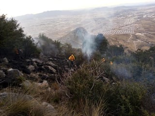 Luego de que se registrara un incendio en la sierra Zapalinamé en Saltillo, fue dado a conocer que en éste fueron consumidas alrededor de 10 hectáreas, mismo que lleva el 90 % controlado.(EL SIGLO DE TORREÓN)