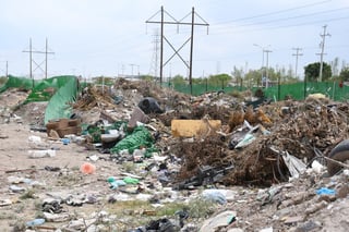 Este año se pudieron recolectar unas 200 mil toneladas de desechos en esos lugares, según la Dirección de Servicios Públicos.