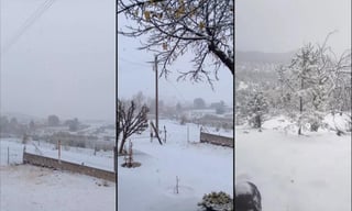 En al menos 30 municipios de Chihuahua se presentó caída de nieve debido al ingreso del frente frío 24 y la Cuarta Tormenta Invernal, por lo cual se cerraron diversos tramos carreteros en la entidad. (ESPECIAL)