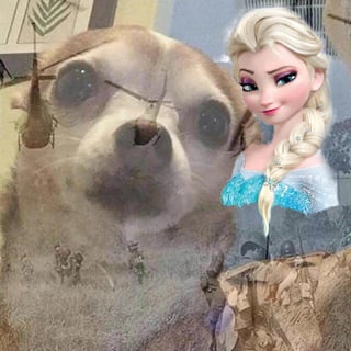 Consideran de 'mala suerte' arrancar el 2021 con los memes de 'Elsa' (CAPTURA) 