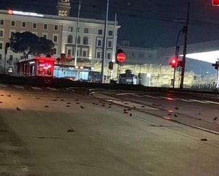 La madrugada del pasado viernes, el 1 de enero del 2021, las calles de Roma, Italia se vieron 'inundadas' por decenas de aves muertas. (Especial) 