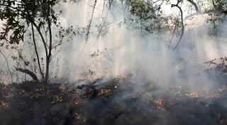 Más de 100 combatientes cumplieron 24 horas trabajando en la extinción de un incendio en el Parque Nacional Izta-Popo, por el viento que se extendió a la zona alta del volcán Iztaccíhuatl, a más de 2 mil 500 metros de altitud, donde el fuego es superficial, informaron autoridades del Estado de México. (ESPECIAL) 