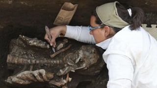 Los restos óseos de 80 individuos que habitaron en el territorio de la ciudad de Atlixco, ubicada en el estado mexicano de Puebla en tiempos prehispánicos, son analizados por el Instituto Nacional de Antropología e Historia (INAH) de México. (Especial) 