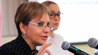 Carpio Ríos indicó que trabajará a distancia, con los cuidados establecidos y en coordinación con su equipo, las acciones emprendidas por la Secretaría de Salud en Michoacán.
(ARCHIVO)