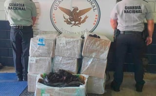 Elementos de la Guardia Nacional aseguraron aproximadamente 309 kilos de pepino de mar en Hermosillo, Sonora. (ESPECIAL)