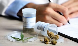 Es importante llevar un óptimo diagnóstico médico del paciente, antes de utilizar la marihuana como recurso medicinal (ESPECIAL) 