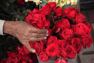 Solo el año pasado, a nivel global se gastaron más de 200 millones de dólares en bouquets de flores. (AGENCIAS) 