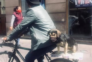 A través de Facebook, se viralizó la escena del perrito con cubrebocas paseando con su dueño en bicicleta (CAPTURA) 