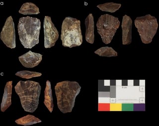 El diente de un niño y varios restos arqueológicos han sido las pistas seguidas por un equipo científico para concluir que los neandertales usaban la tecnología Levallois de Nubia, que hasta ahora se creía exclusiva del Homo sapiens. (ESPECIAL) 
