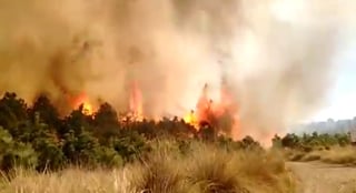 La coordinación de Protección Civil y Bomberos en Toluca, junto con la Protectora de Bosques y PC del Estado de México combaten un nuevo incendio en la zona del Nevado de Toluca, en la zona de Tlacotepec, perteneciente a la capital mexiquense. (ESPECIAL)