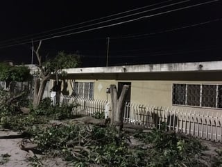 El domicilio en El Campestre de Gómez Palacio fue multado con más de 13 mil pesos por la tala no autorizada de árboles.