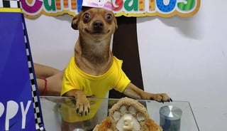 El perro de nombre 'Odín' 'posó' junto a su pastel de cumpleaños con una 'sonrisa' (FACEBOOK) 