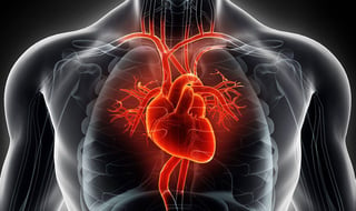 De acuerdo al estudio, el COVID-19 sería capaz de dañar células del músculo cardíaco (ESPECIAL)  