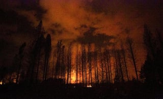Además de las afectaciones en bosques, diversas casas han resultado dañadas a causa de los incendios (AFP) 
