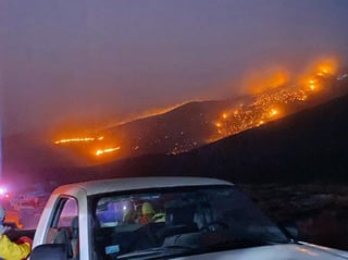La Secretaría de Medio Ambiente de Coahuila (SMA) informó que a la fecha se registraron cuatro incendios en la entidad, ubicados en la región Sureste. (ESPECIAL)