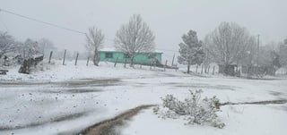 Habitantes de los estados de Sonora y Chihuahua, se vieron sorprendidos al registrarse la caída de nieve en plena primavera (ESPECIAL) 