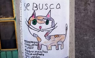 En el dibujo, el dueño del felino adjuntó información básica de éste (CAPTURA) 