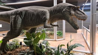 Se contará con 16 réplicas robotizadas de dinosaurios en el Museo del Desierto en la ciudad de Saltillo durante la Semana Santa.