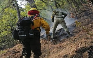La superficie afectada por el fuego en los cinco incendios activos y tres que fueron sofocados, suma 17 mil 210 hectáreas, según Protección Civil de Nuevo León. (ESPECIAL)