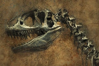 Un equipo científico ha descubierto una nueva especie de dinosaurio carnívoro, bautizada como Llukalkan aliocranianus, que habitaba en la Patagonia, en la Argentina actual, según un estudio publicado en la revista Journal of Vertebrate Paleontology. (ESPECIAL) 