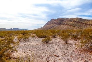 El Desierto de Coahuila es tan grande que encontraremos muchas cosas para explorar. (ESPECIAL)