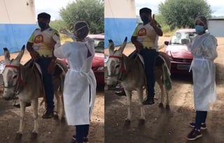 En la fila de los automóviles para recibir la vacuna antiCOVID, el hombre se formó montado en su burro (ESPECIAL) 