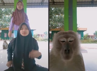 Las jóvenes se sorprenden cuando el mono aparece detrás de ellas. (INTERNET)