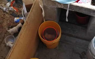 A través de Facebook, una mujer reportó el caso de crueldad animal que supuestamente viven unos cachorros en un domicilio de Gómez Palacio (CAPTURA) 