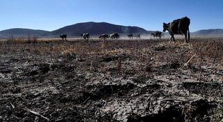 La sequía se ha agudizado en México afectando a casi el 84 % del país y golpeando a un campo mexicano que ya padece por la falta de lluvias en 2020. (EFE)