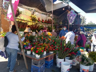 Las expectativas para los comerciantes de flores en Madero son muy positivas; incluso a partir de hoy instalarán el tradicional mercado, cerca de la plaza principal.