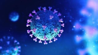 Pocos meses después de declarase la pandemia de COVID-19, al inicio de 2020, los científicos secuenciaron el genoma del virus, el SARS-CoV-2, pero aún seguían sin conocerse muchos genes codificadores de proteínas. Ahora, un estudio de genómica comparativa ha permitido generar el mapa genético más preciso y completo del virus. (ESPECIAL) 