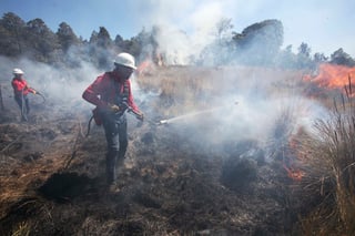 Del total de incendios forestales, 539 (10 %) correspondieron a ecosistemas sensibles al fuego, afectando una superficie de 33 mil 790 hectáreas (12 %) del total nacional.