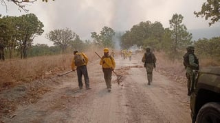 La Comisión Nacional Forestal (Conafor) informó que al momento se registran 65 incendios forestales activos en 13 estados del país, con una superficie preliminar afectada de 7 mil 249.8 hectáreas. (TWITTER)