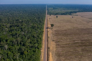 El Gobierno de Bolsonaro enfrenta escepticismo por la Amazonía.