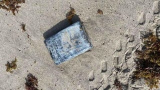 Una ingeniera civil que estudiaba la anidación de tortugas marinas en una playa de la estación espacial de Cabo Cañaveral (Florida, EUA) encontró un fardo de cocaína que condujo al hallazgo posterior de 23 'ladrillos' de droga, informaron este viernes las fuerzas de seguridad del centro. (ESPECIAL) 