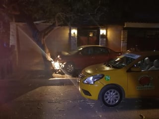 Finalmente, el automóvil particular se impactó contra un árbol y causar daños a una finca ubicada en el cruce de la avenida Laguna Norte y calle Gardenias de la colonia Torreón Jardín.
