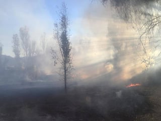 El estado de Durango es el segundo con la mayor superficie afectada por los incendios forestales en el país. (EL SIGLO DE TORREÓN) 