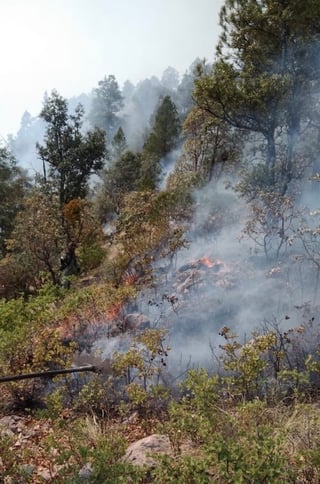 De los 34 incendios forestales que se mantienen activos en el país, cinco se encuentra en Durango, según reporta la Conafor. (EL SIGLO DE TORREÓN) 