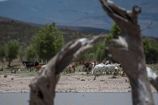 En México, según la Ley de Desarrollo Rural Sustentable, el concepto de desertificación se aplica 'a todos los ecosistemas existentes'.