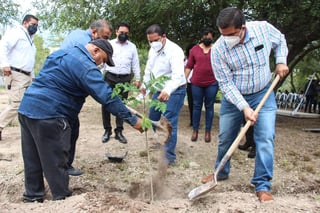 En su mensaje, el alcalde de Lerdo agradeció el apoyo de la sociedad civil en la campaña de reforestación, realizada en todo el municipio desde el mes de marzo, en donde hasta el momento se han plantado y donado más de 15,000 árboles en el área urbana y rural.
(EL SIGLO DE TORREÓN)