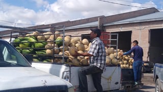 Ante la falta de compradores, productores de melón de San Pedro, registran perdidas importantes, pues además del bajo precio que están pagando, al no colocar su producto se les está echando a perder, incluso algunos han tenido que tirar parte de la cosecha. (MARY VÁZQUEZ)